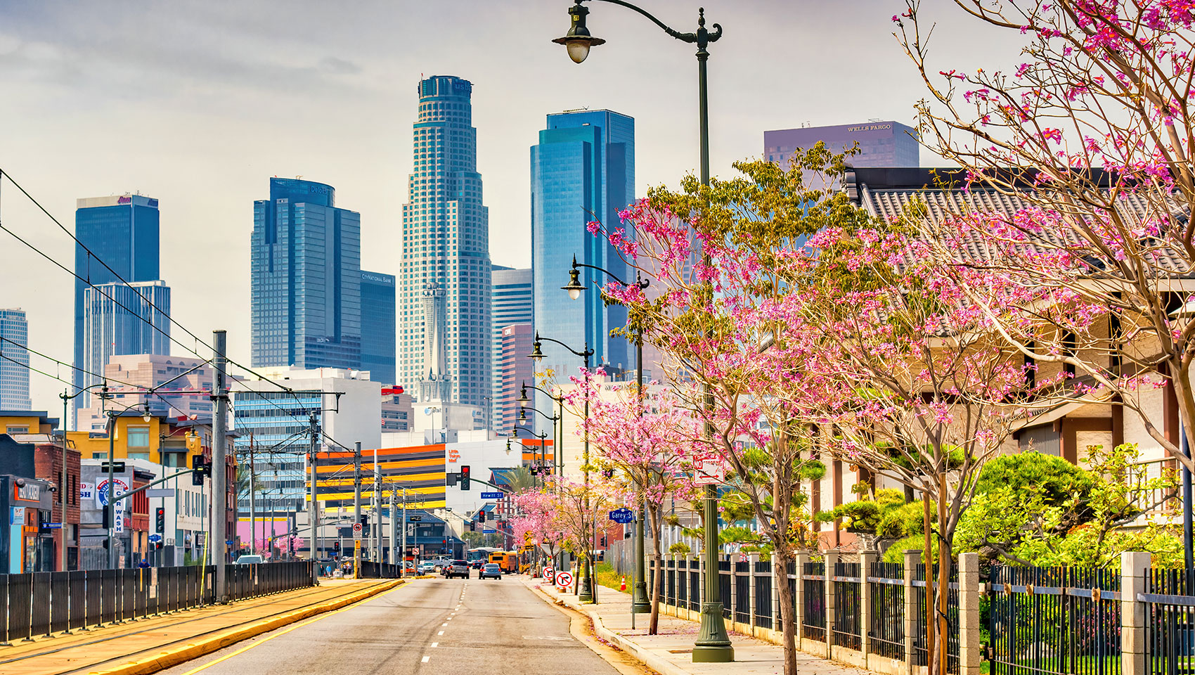 Springtime in Los Angeles